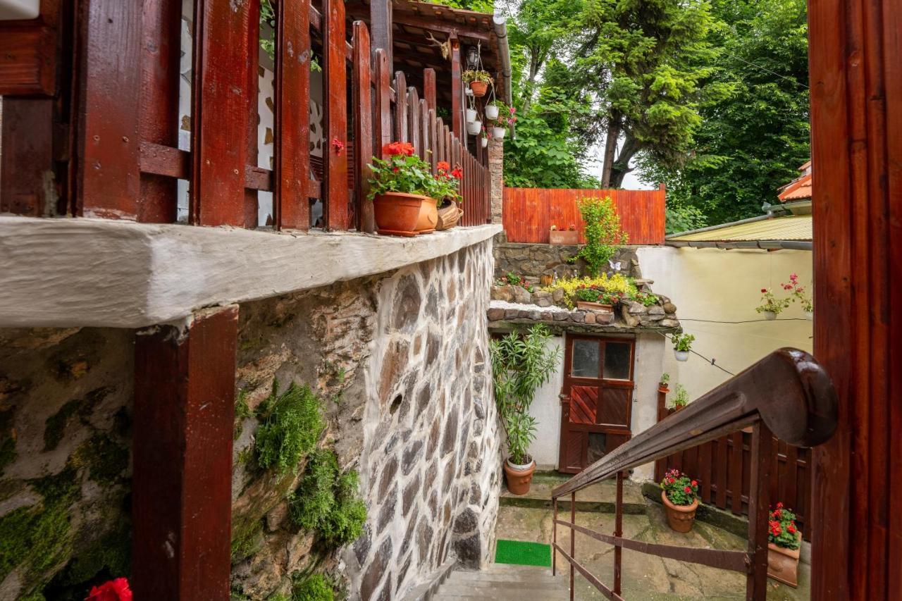 Gloria Apartments Sighişoara Exteriér fotografie