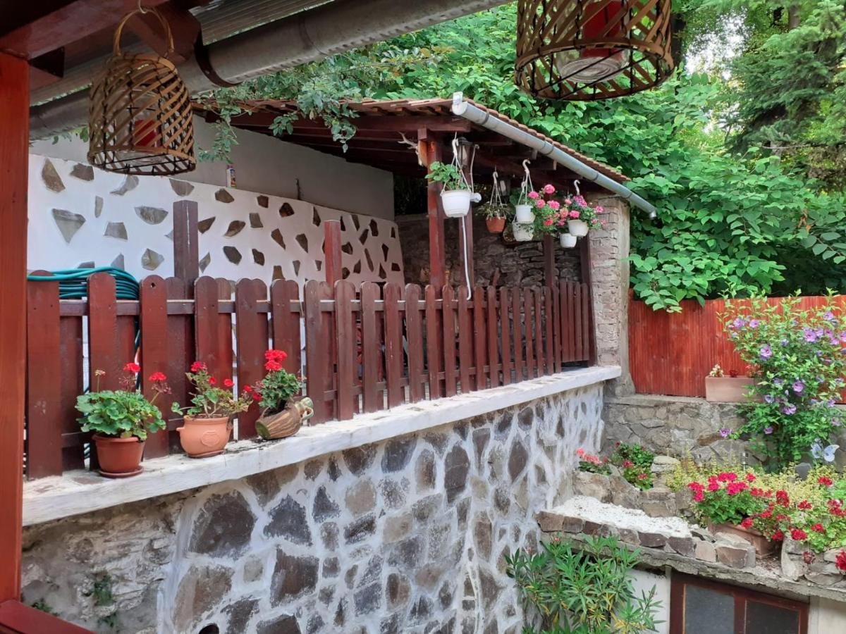 Gloria Apartments Sighişoara Exteriér fotografie