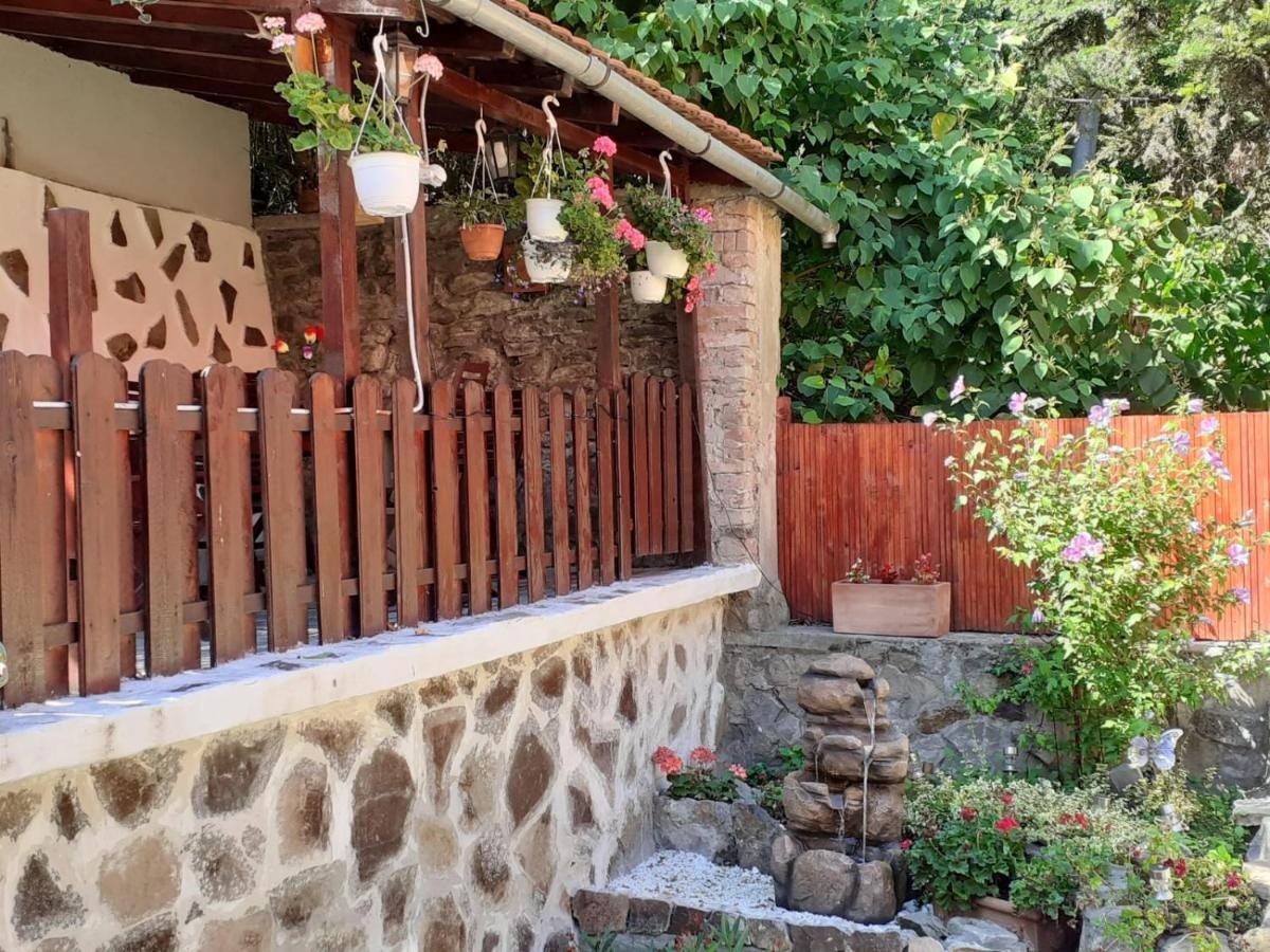 Gloria Apartments Sighişoara Exteriér fotografie