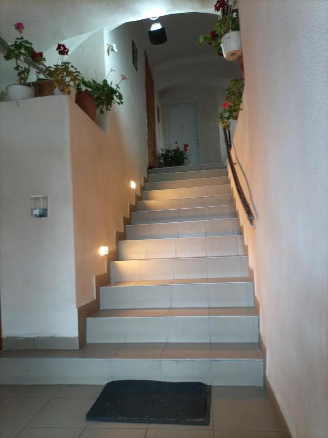 Gloria Apartments Sighişoara Exteriér fotografie